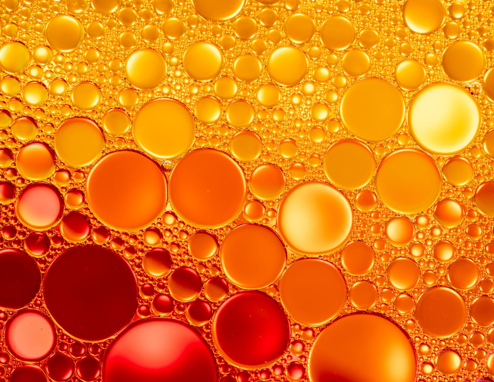 Luminous orange and gold liquid droplets in macro, light catching each bead