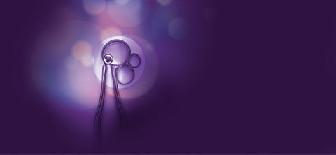 Skeyndor Global Lift range